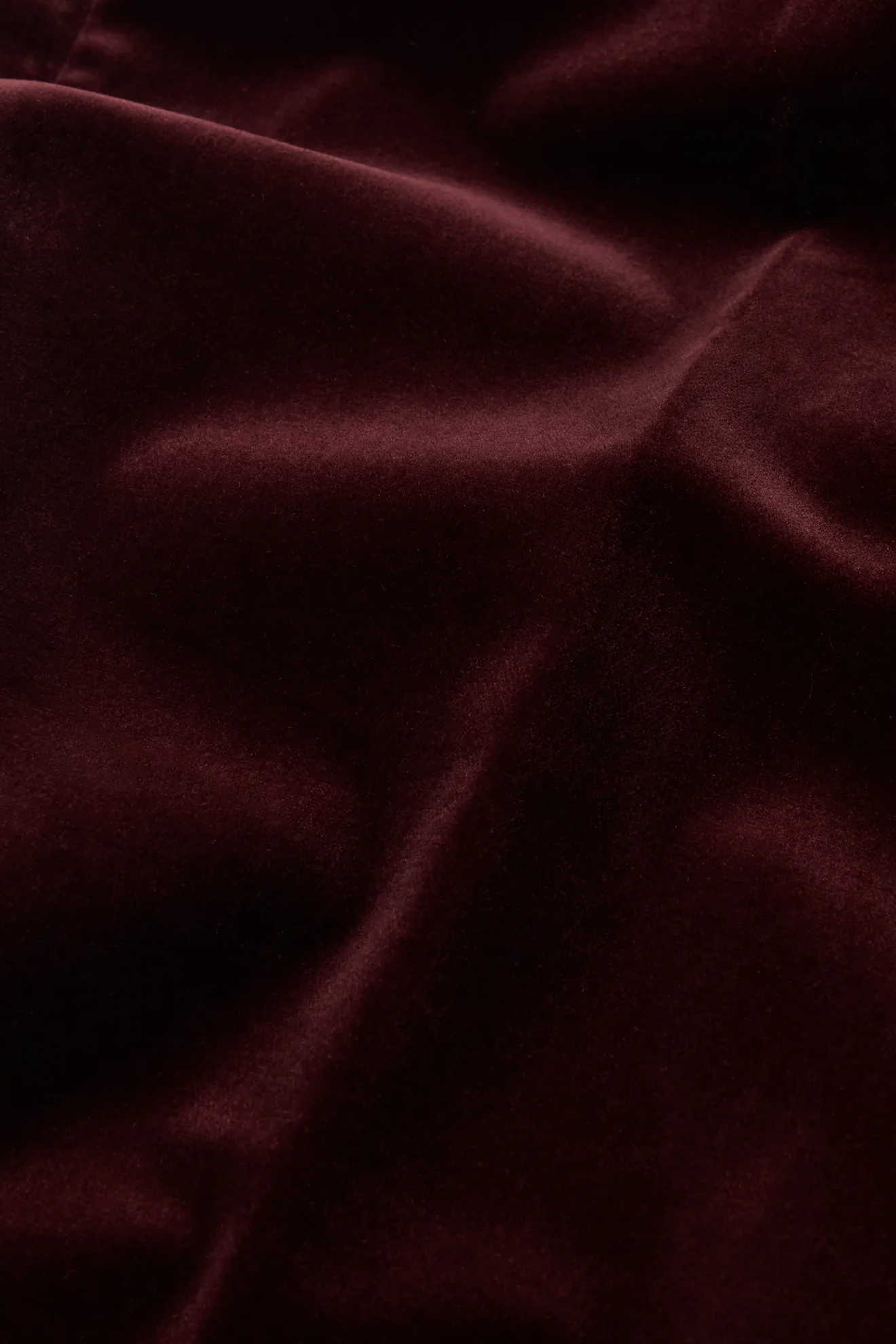 Single Breasted Jacket in Velvet - Image 4